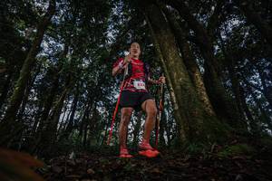 BIB: 827
                            <button type="button" onclick="openModal(22319361)" class="btn btn-primary btn-sm float-right btn-popup" data-toggle="modal" data-target=".modal-high-quality">
                        <i class="fas fa-shopping-cart"></i> Add to Cart
                    </button>
                                            <button type="button" onclick="isThisMe(22319361, true)" class="btn btn-success btn-sm float-right btn-popup btn-isme hidden" data-toggle="tooltip" data-placement="bottom" title="นี่คือรูปของคุณใช่ไหม คลิกที่นี่เพื่อเอาเข้าอัลบั้ม">
                        <i class="fas fa-plus"></i> Add to album
                    </button>
                    <button type="button" onclick="isThisMe(22319361, false)" class="btn btn-warning btn-sm float-right btn-popup btn-isnotme hidden">
                        <i class="fas fa-ban"></i> Remove from album
                    </button>