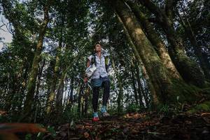 BIB: 
                            <button type="button" onclick="openModal(22319282)" class="btn btn-primary btn-sm float-right btn-popup" data-toggle="modal" data-target=".modal-high-quality">
                        <i class="fas fa-shopping-cart"></i> Add to Cart
                    </button>
                                            <button type="button" onclick="isThisMe(22319282, true)" class="btn btn-success btn-sm float-right btn-popup btn-isme hidden" data-toggle="tooltip" data-placement="bottom" title="นี่คือรูปของคุณใช่ไหม คลิกที่นี่เพื่อเอาเข้าอัลบั้ม">
                        <i class="fas fa-plus"></i> Add to album
                    </button>
                    <button type="button" onclick="isThisMe(22319282, false)" class="btn btn-warning btn-sm float-right btn-popup btn-isnotme hidden">
                        <i class="fas fa-ban"></i> Remove from album
                    </button>