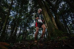 BIB: 8274
                            <button type="button" onclick="openModal(22319387)" class="btn btn-primary btn-sm float-right btn-popup" data-toggle="modal" data-target=".modal-high-quality">
                        <i class="fas fa-shopping-cart"></i> Add to Cart
                    </button>
                                            <button type="button" onclick="isThisMe(22319387, true)" class="btn btn-success btn-sm float-right btn-popup btn-isme hidden" data-toggle="tooltip" data-placement="bottom" title="นี่คือรูปของคุณใช่ไหม คลิกที่นี่เพื่อเอาเข้าอัลบั้ม">
                        <i class="fas fa-plus"></i> Add to album
                    </button>
                    <button type="button" onclick="isThisMe(22319387, false)" class="btn btn-warning btn-sm float-right btn-popup btn-isnotme hidden">
                        <i class="fas fa-ban"></i> Remove from album
                    </button>