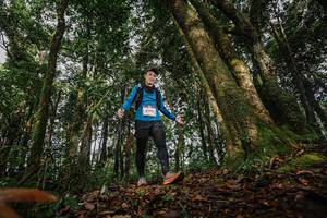 BIB: 6618
                            <button type="button" onclick="openModal(22319306)" class="btn btn-primary btn-sm float-right btn-popup" data-toggle="modal" data-target=".modal-high-quality">
                        <i class="fas fa-shopping-cart"></i> Add to Cart
                    </button>
                                            <button type="button" onclick="isThisMe(22319306, true)" class="btn btn-success btn-sm float-right btn-popup btn-isme hidden" data-toggle="tooltip" data-placement="bottom" title="นี่คือรูปของคุณใช่ไหม คลิกที่นี่เพื่อเอาเข้าอัลบั้ม">
                        <i class="fas fa-plus"></i> Add to album
                    </button>
                    <button type="button" onclick="isThisMe(22319306, false)" class="btn btn-warning btn-sm float-right btn-popup btn-isnotme hidden">
                        <i class="fas fa-ban"></i> Remove from album
                    </button>