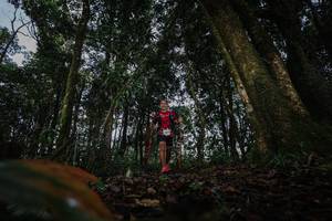 BIB: 
                            <button type="button" onclick="openModal(22319345)" class="btn btn-primary btn-sm float-right btn-popup" data-toggle="modal" data-target=".modal-high-quality">
                        <i class="fas fa-shopping-cart"></i> Add to Cart
                    </button>
                                            <button type="button" onclick="isThisMe(22319345, true)" class="btn btn-success btn-sm float-right btn-popup btn-isme hidden" data-toggle="tooltip" data-placement="bottom" title="นี่คือรูปของคุณใช่ไหม คลิกที่นี่เพื่อเอาเข้าอัลบั้ม">
                        <i class="fas fa-plus"></i> Add to album
                    </button>
                    <button type="button" onclick="isThisMe(22319345, false)" class="btn btn-warning btn-sm float-right btn-popup btn-isnotme hidden">
                        <i class="fas fa-ban"></i> Remove from album
                    </button>