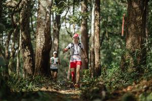 BIB: 423
                            <button type="button" onclick="openModal(22502570)" class="btn btn-primary btn-sm float-right btn-popup" data-toggle="modal" data-target=".modal-high-quality">
                        <i class="fas fa-shopping-cart"></i> Add to Cart
                    </button>
                                            <button type="button" onclick="isThisMe(22502570, true)" class="btn btn-success btn-sm float-right btn-popup btn-isme hidden" data-toggle="tooltip" data-placement="bottom" title="นี่คือรูปของคุณใช่ไหม คลิกที่นี่เพื่อเอาเข้าอัลบั้ม">
                        <i class="fas fa-plus"></i> Add to album
                    </button>
                    <button type="button" onclick="isThisMe(22502570, false)" class="btn btn-warning btn-sm float-right btn-popup btn-isnotme hidden">
                        <i class="fas fa-ban"></i> Remove from album
                    </button>