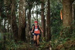 BIB: 3728, 
                            <button type="button" onclick="openModal(22507807)" class="btn btn-primary btn-sm float-right btn-popup" data-toggle="modal" data-target=".modal-high-quality">
                        <i class="fas fa-shopping-cart"></i> Add to Cart
                    </button>
                                            <button type="button" onclick="isThisMe(22507807, true)" class="btn btn-success btn-sm float-right btn-popup btn-isme hidden" data-toggle="tooltip" data-placement="bottom" title="นี่คือรูปของคุณใช่ไหม คลิกที่นี่เพื่อเอาเข้าอัลบั้ม">
                        <i class="fas fa-plus"></i> Add to album
                    </button>
                    <button type="button" onclick="isThisMe(22507807, false)" class="btn btn-warning btn-sm float-right btn-popup btn-isnotme hidden">
                        <i class="fas fa-ban"></i> Remove from album
                    </button>