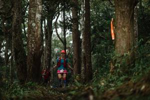 BIB: 
                            <button type="button" onclick="openModal(22507554)" class="btn btn-primary btn-sm float-right btn-popup" data-toggle="modal" data-target=".modal-high-quality">
                        <i class="fas fa-shopping-cart"></i> Add to Cart
                    </button>
                                            <button type="button" onclick="isThisMe(22507554, true)" class="btn btn-success btn-sm float-right btn-popup btn-isme hidden" data-toggle="tooltip" data-placement="bottom" title="นี่คือรูปของคุณใช่ไหม คลิกที่นี่เพื่อเอาเข้าอัลบั้ม">
                        <i class="fas fa-plus"></i> Add to album
                    </button>
                    <button type="button" onclick="isThisMe(22507554, false)" class="btn btn-warning btn-sm float-right btn-popup btn-isnotme hidden">
                        <i class="fas fa-ban"></i> Remove from album
                    </button>