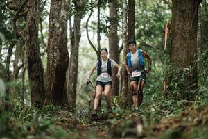 BIB: 5172, 3364
                            <button type="button" onclick="openModal(22501875)" class="btn btn-primary btn-sm float-right btn-popup" data-toggle="modal" data-target=".modal-high-quality">
                        <i class="fas fa-shopping-cart"></i> Add to Cart
                    </button>
                                            <button type="button" onclick="isThisMe(22501875, true)" class="btn btn-success btn-sm float-right btn-popup btn-isme hidden" data-toggle="tooltip" data-placement="bottom" title="นี่คือรูปของคุณใช่ไหม คลิกที่นี่เพื่อเอาเข้าอัลบั้ม">
                        <i class="fas fa-plus"></i> Add to album
                    </button>
                    <button type="button" onclick="isThisMe(22501875, false)" class="btn btn-warning btn-sm float-right btn-popup btn-isnotme hidden">
                        <i class="fas fa-ban"></i> Remove from album
                    </button>