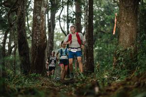 BIB: 5178
                            <button type="button" onclick="openModal(22504472)" class="btn btn-primary btn-sm float-right btn-popup" data-toggle="modal" data-target=".modal-high-quality">
                        <i class="fas fa-shopping-cart"></i> Add to Cart
                    </button>
                                            <button type="button" onclick="isThisMe(22504472, true)" class="btn btn-success btn-sm float-right btn-popup btn-isme hidden" data-toggle="tooltip" data-placement="bottom" title="นี่คือรูปของคุณใช่ไหม คลิกที่นี่เพื่อเอาเข้าอัลบั้ม">
                        <i class="fas fa-plus"></i> Add to album
                    </button>
                    <button type="button" onclick="isThisMe(22504472, false)" class="btn btn-warning btn-sm float-right btn-popup btn-isnotme hidden">
                        <i class="fas fa-ban"></i> Remove from album
                    </button>