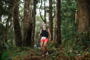 BIB: 6412
                            <button type="button" onclick="openModal(22505030)" class="btn btn-primary btn-sm float-right btn-popup" data-toggle="modal" data-target=".modal-high-quality">
                        <i class="fas fa-shopping-cart"></i> Add to Cart
                    </button>
                                            <button type="button" onclick="isThisMe(22505030, true)" class="btn btn-success btn-sm float-right btn-popup btn-isme hidden" data-toggle="tooltip" data-placement="bottom" title="นี่คือรูปของคุณใช่ไหม คลิกที่นี่เพื่อเอาเข้าอัลบั้ม">
                        <i class="fas fa-plus"></i> Add to album
                    </button>
                    <button type="button" onclick="isThisMe(22505030, false)" class="btn btn-warning btn-sm float-right btn-popup btn-isnotme hidden">
                        <i class="fas fa-ban"></i> Remove from album
                    </button>