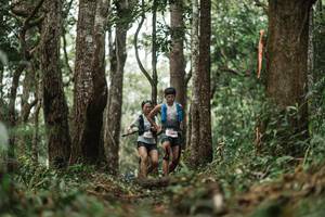 BIB: 
                            <button type="button" onclick="openModal(22501861)" class="btn btn-primary btn-sm float-right btn-popup" data-toggle="modal" data-target=".modal-high-quality">
                        <i class="fas fa-shopping-cart"></i> Add to Cart
                    </button>
                                            <button type="button" onclick="isThisMe(22501861, true)" class="btn btn-success btn-sm float-right btn-popup btn-isme hidden" data-toggle="tooltip" data-placement="bottom" title="นี่คือรูปของคุณใช่ไหม คลิกที่นี่เพื่อเอาเข้าอัลบั้ม">
                        <i class="fas fa-plus"></i> Add to album
                    </button>
                    <button type="button" onclick="isThisMe(22501861, false)" class="btn btn-warning btn-sm float-right btn-popup btn-isnotme hidden">
                        <i class="fas fa-ban"></i> Remove from album
                    </button>