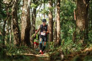 BIB: 14663
                            <button type="button" onclick="openModal(22503002)" class="btn btn-primary btn-sm float-right btn-popup" data-toggle="modal" data-target=".modal-high-quality">
                        <i class="fas fa-shopping-cart"></i> Add to Cart
                    </button>
                                            <button type="button" onclick="isThisMe(22503002, true)" class="btn btn-success btn-sm float-right btn-popup btn-isme hidden" data-toggle="tooltip" data-placement="bottom" title="นี่คือรูปของคุณใช่ไหม คลิกที่นี่เพื่อเอาเข้าอัลบั้ม">
                        <i class="fas fa-plus"></i> Add to album
                    </button>
                    <button type="button" onclick="isThisMe(22503002, false)" class="btn btn-warning btn-sm float-right btn-popup btn-isnotme hidden">
                        <i class="fas fa-ban"></i> Remove from album
                    </button>