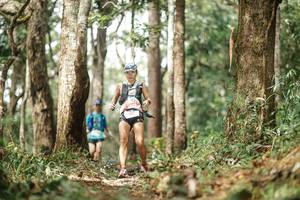 BIB: 
                            <button type="button" onclick="openModal(22502174)" class="btn btn-primary btn-sm float-right btn-popup" data-toggle="modal" data-target=".modal-high-quality">
                        <i class="fas fa-shopping-cart"></i> Add to Cart
                    </button>
                                            <button type="button" onclick="isThisMe(22502174, true)" class="btn btn-success btn-sm float-right btn-popup btn-isme hidden" data-toggle="tooltip" data-placement="bottom" title="นี่คือรูปของคุณใช่ไหม คลิกที่นี่เพื่อเอาเข้าอัลบั้ม">
                        <i class="fas fa-plus"></i> Add to album
                    </button>
                    <button type="button" onclick="isThisMe(22502174, false)" class="btn btn-warning btn-sm float-right btn-popup btn-isnotme hidden">
                        <i class="fas fa-ban"></i> Remove from album
                    </button>