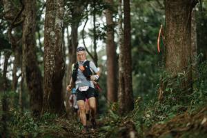 BIB: 367
                            <button type="button" onclick="openModal(22507009)" class="btn btn-primary btn-sm float-right btn-popup" data-toggle="modal" data-target=".modal-high-quality">
                        <i class="fas fa-shopping-cart"></i> Add to Cart
                    </button>
                                            <button type="button" onclick="isThisMe(22507009, true)" class="btn btn-success btn-sm float-right btn-popup btn-isme hidden" data-toggle="tooltip" data-placement="bottom" title="นี่คือรูปของคุณใช่ไหม คลิกที่นี่เพื่อเอาเข้าอัลบั้ม">
                        <i class="fas fa-plus"></i> Add to album
                    </button>
                    <button type="button" onclick="isThisMe(22507009, false)" class="btn btn-warning btn-sm float-right btn-popup btn-isnotme hidden">
                        <i class="fas fa-ban"></i> Remove from album
                    </button>