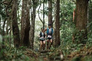 BIB: 
                            <button type="button" onclick="openModal(22501862)" class="btn btn-primary btn-sm float-right btn-popup" data-toggle="modal" data-target=".modal-high-quality">
                        <i class="fas fa-shopping-cart"></i> Add to Cart
                    </button>
                                            <button type="button" onclick="isThisMe(22501862, true)" class="btn btn-success btn-sm float-right btn-popup btn-isme hidden" data-toggle="tooltip" data-placement="bottom" title="นี่คือรูปของคุณใช่ไหม คลิกที่นี่เพื่อเอาเข้าอัลบั้ม">
                        <i class="fas fa-plus"></i> Add to album
                    </button>
                    <button type="button" onclick="isThisMe(22501862, false)" class="btn btn-warning btn-sm float-right btn-popup btn-isnotme hidden">
                        <i class="fas fa-ban"></i> Remove from album
                    </button>