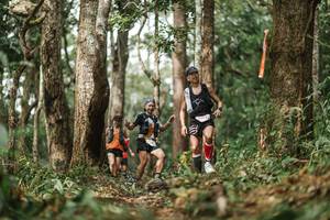 BIB: 
                            <button type="button" onclick="openModal(22501786)" class="btn btn-primary btn-sm float-right btn-popup" data-toggle="modal" data-target=".modal-high-quality">
                        <i class="fas fa-shopping-cart"></i> Add to Cart
                    </button>
                                            <button type="button" onclick="isThisMe(22501786, true)" class="btn btn-success btn-sm float-right btn-popup btn-isme hidden" data-toggle="tooltip" data-placement="bottom" title="นี่คือรูปของคุณใช่ไหม คลิกที่นี่เพื่อเอาเข้าอัลบั้ม">
                        <i class="fas fa-plus"></i> Add to album
                    </button>
                    <button type="button" onclick="isThisMe(22501786, false)" class="btn btn-warning btn-sm float-right btn-popup btn-isnotme hidden">
                        <i class="fas fa-ban"></i> Remove from album
                    </button>