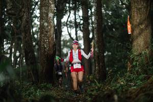 BIB: 
                            <button type="button" onclick="openModal(22506312)" class="btn btn-primary btn-sm float-right btn-popup" data-toggle="modal" data-target=".modal-high-quality">
                        <i class="fas fa-shopping-cart"></i> Add to Cart
                    </button>
                                            <button type="button" onclick="isThisMe(22506312, true)" class="btn btn-success btn-sm float-right btn-popup btn-isme hidden" data-toggle="tooltip" data-placement="bottom" title="นี่คือรูปของคุณใช่ไหม คลิกที่นี่เพื่อเอาเข้าอัลบั้ม">
                        <i class="fas fa-plus"></i> Add to album
                    </button>
                    <button type="button" onclick="isThisMe(22506312, false)" class="btn btn-warning btn-sm float-right btn-popup btn-isnotme hidden">
                        <i class="fas fa-ban"></i> Remove from album
                    </button>