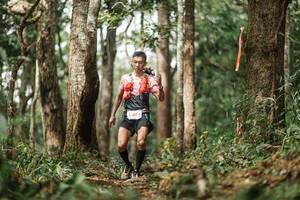 BIB: 527
                            <button type="button" onclick="openModal(22501799)" class="btn btn-primary btn-sm float-right btn-popup" data-toggle="modal" data-target=".modal-high-quality">
                        <i class="fas fa-shopping-cart"></i> Add to Cart
                    </button>
                                            <button type="button" onclick="isThisMe(22501799, true)" class="btn btn-success btn-sm float-right btn-popup btn-isme hidden" data-toggle="tooltip" data-placement="bottom" title="นี่คือรูปของคุณใช่ไหม คลิกที่นี่เพื่อเอาเข้าอัลบั้ม">
                        <i class="fas fa-plus"></i> Add to album
                    </button>
                    <button type="button" onclick="isThisMe(22501799, false)" class="btn btn-warning btn-sm float-right btn-popup btn-isnotme hidden">
                        <i class="fas fa-ban"></i> Remove from album
                    </button>