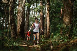 BIB: 
                            <button type="button" onclick="openModal(22503101)" class="btn btn-primary btn-sm float-right btn-popup" data-toggle="modal" data-target=".modal-high-quality">
                        <i class="fas fa-shopping-cart"></i> Add to Cart
                    </button>
                                            <button type="button" onclick="isThisMe(22503101, true)" class="btn btn-success btn-sm float-right btn-popup btn-isme hidden" data-toggle="tooltip" data-placement="bottom" title="นี่คือรูปของคุณใช่ไหม คลิกที่นี่เพื่อเอาเข้าอัลบั้ม">
                        <i class="fas fa-plus"></i> Add to album
                    </button>
                    <button type="button" onclick="isThisMe(22503101, false)" class="btn btn-warning btn-sm float-right btn-popup btn-isnotme hidden">
                        <i class="fas fa-ban"></i> Remove from album
                    </button>