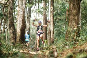 BIB: 
                            <button type="button" onclick="openModal(22502177)" class="btn btn-primary btn-sm float-right btn-popup" data-toggle="modal" data-target=".modal-high-quality">
                        <i class="fas fa-shopping-cart"></i> Add to Cart
                    </button>
                                            <button type="button" onclick="isThisMe(22502177, true)" class="btn btn-success btn-sm float-right btn-popup btn-isme hidden" data-toggle="tooltip" data-placement="bottom" title="นี่คือรูปของคุณใช่ไหม คลิกที่นี่เพื่อเอาเข้าอัลบั้ม">
                        <i class="fas fa-plus"></i> Add to album
                    </button>
                    <button type="button" onclick="isThisMe(22502177, false)" class="btn btn-warning btn-sm float-right btn-popup btn-isnotme hidden">
                        <i class="fas fa-ban"></i> Remove from album
                    </button>