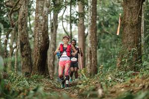 BIB: 
                            <button type="button" onclick="openModal(22501610)" class="btn btn-primary btn-sm float-right btn-popup" data-toggle="modal" data-target=".modal-high-quality">
                        <i class="fas fa-shopping-cart"></i> Add to Cart
                    </button>
                                            <button type="button" onclick="isThisMe(22501610, true)" class="btn btn-success btn-sm float-right btn-popup btn-isme hidden" data-toggle="tooltip" data-placement="bottom" title="นี่คือรูปของคุณใช่ไหม คลิกที่นี่เพื่อเอาเข้าอัลบั้ม">
                        <i class="fas fa-plus"></i> Add to album
                    </button>
                    <button type="button" onclick="isThisMe(22501610, false)" class="btn btn-warning btn-sm float-right btn-popup btn-isnotme hidden">
                        <i class="fas fa-ban"></i> Remove from album
                    </button>