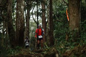 BIB: 
                            <button type="button" onclick="openModal(22514488)" class="btn btn-primary btn-sm float-right btn-popup" data-toggle="modal" data-target=".modal-high-quality">
                        <i class="fas fa-shopping-cart"></i> Add to Cart
                    </button>
                                            <button type="button" onclick="isThisMe(22514488, true)" class="btn btn-success btn-sm float-right btn-popup btn-isme hidden" data-toggle="tooltip" data-placement="bottom" title="นี่คือรูปของคุณใช่ไหม คลิกที่นี่เพื่อเอาเข้าอัลบั้ม">
                        <i class="fas fa-plus"></i> Add to album
                    </button>
                    <button type="button" onclick="isThisMe(22514488, false)" class="btn btn-warning btn-sm float-right btn-popup btn-isnotme hidden">
                        <i class="fas fa-ban"></i> Remove from album
                    </button>