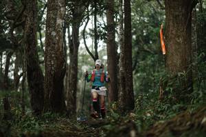 BIB: 
                            <button type="button" onclick="openModal(22505064)" class="btn btn-primary btn-sm float-right btn-popup" data-toggle="modal" data-target=".modal-high-quality">
                        <i class="fas fa-shopping-cart"></i> Add to Cart
                    </button>
                                            <button type="button" onclick="isThisMe(22505064, true)" class="btn btn-success btn-sm float-right btn-popup btn-isme hidden" data-toggle="tooltip" data-placement="bottom" title="นี่คือรูปของคุณใช่ไหม คลิกที่นี่เพื่อเอาเข้าอัลบั้ม">
                        <i class="fas fa-plus"></i> Add to album
                    </button>
                    <button type="button" onclick="isThisMe(22505064, false)" class="btn btn-warning btn-sm float-right btn-popup btn-isnotme hidden">
                        <i class="fas fa-ban"></i> Remove from album
                    </button>