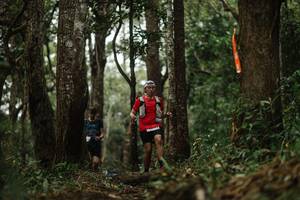 BIB: 
                            <button type="button" onclick="openModal(22512059)" class="btn btn-primary btn-sm float-right btn-popup" data-toggle="modal" data-target=".modal-high-quality">
                        <i class="fas fa-shopping-cart"></i> Add to Cart
                    </button>
                                            <button type="button" onclick="isThisMe(22512059, true)" class="btn btn-success btn-sm float-right btn-popup btn-isme hidden" data-toggle="tooltip" data-placement="bottom" title="นี่คือรูปของคุณใช่ไหม คลิกที่นี่เพื่อเอาเข้าอัลบั้ม">
                        <i class="fas fa-plus"></i> Add to album
                    </button>
                    <button type="button" onclick="isThisMe(22512059, false)" class="btn btn-warning btn-sm float-right btn-popup btn-isnotme hidden">
                        <i class="fas fa-ban"></i> Remove from album
                    </button>