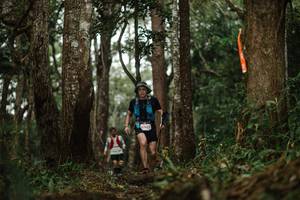 BIB: 5741
                            <button type="button" onclick="openModal(22514012)" class="btn btn-primary btn-sm float-right btn-popup" data-toggle="modal" data-target=".modal-high-quality">
                        <i class="fas fa-shopping-cart"></i> Add to Cart
                    </button>
                                            <button type="button" onclick="isThisMe(22514012, true)" class="btn btn-success btn-sm float-right btn-popup btn-isme hidden" data-toggle="tooltip" data-placement="bottom" title="นี่คือรูปของคุณใช่ไหม คลิกที่นี่เพื่อเอาเข้าอัลบั้ม">
                        <i class="fas fa-plus"></i> Add to album
                    </button>
                    <button type="button" onclick="isThisMe(22514012, false)" class="btn btn-warning btn-sm float-right btn-popup btn-isnotme hidden">
                        <i class="fas fa-ban"></i> Remove from album
                    </button>