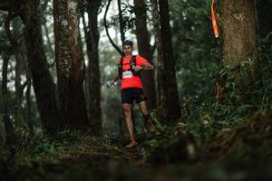 BIB: 5347
                            <button type="button" onclick="openModal(22508239)" class="btn btn-primary btn-sm float-right btn-popup" data-toggle="modal" data-target=".modal-high-quality">
                        <i class="fas fa-shopping-cart"></i> Add to Cart
                    </button>
                                            <button type="button" onclick="isThisMe(22508239, true)" class="btn btn-success btn-sm float-right btn-popup btn-isme hidden" data-toggle="tooltip" data-placement="bottom" title="นี่คือรูปของคุณใช่ไหม คลิกที่นี่เพื่อเอาเข้าอัลบั้ม">
                        <i class="fas fa-plus"></i> Add to album
                    </button>
                    <button type="button" onclick="isThisMe(22508239, false)" class="btn btn-warning btn-sm float-right btn-popup btn-isnotme hidden">
                        <i class="fas fa-ban"></i> Remove from album
                    </button>