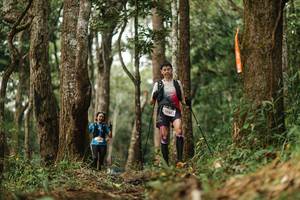 BIB: 5845
                            <button type="button" onclick="openModal(22510182)" class="btn btn-primary btn-sm float-right btn-popup" data-toggle="modal" data-target=".modal-high-quality">
                        <i class="fas fa-shopping-cart"></i> Add to Cart
                    </button>
                                            <button type="button" onclick="isThisMe(22510182, true)" class="btn btn-success btn-sm float-right btn-popup btn-isme hidden" data-toggle="tooltip" data-placement="bottom" title="นี่คือรูปของคุณใช่ไหม คลิกที่นี่เพื่อเอาเข้าอัลบั้ม">
                        <i class="fas fa-plus"></i> Add to album
                    </button>
                    <button type="button" onclick="isThisMe(22510182, false)" class="btn btn-warning btn-sm float-right btn-popup btn-isnotme hidden">
                        <i class="fas fa-ban"></i> Remove from album
                    </button>