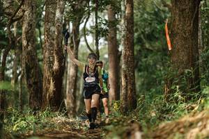 BIB: 
                            <button type="button" onclick="openModal(22511116)" class="btn btn-primary btn-sm float-right btn-popup" data-toggle="modal" data-target=".modal-high-quality">
                        <i class="fas fa-shopping-cart"></i> Add to Cart
                    </button>
                                            <button type="button" onclick="isThisMe(22511116, true)" class="btn btn-success btn-sm float-right btn-popup btn-isme hidden" data-toggle="tooltip" data-placement="bottom" title="นี่คือรูปของคุณใช่ไหม คลิกที่นี่เพื่อเอาเข้าอัลบั้ม">
                        <i class="fas fa-plus"></i> Add to album
                    </button>
                    <button type="button" onclick="isThisMe(22511116, false)" class="btn btn-warning btn-sm float-right btn-popup btn-isnotme hidden">
                        <i class="fas fa-ban"></i> Remove from album
                    </button>