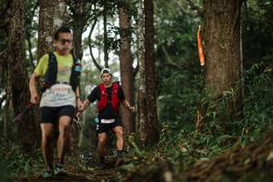 BIB: 
                            <button type="button" onclick="openModal(22513767)" class="btn btn-primary btn-sm float-right btn-popup" data-toggle="modal" data-target=".modal-high-quality">
                        <i class="fas fa-shopping-cart"></i> Add to Cart
                    </button>
                                            <button type="button" onclick="isThisMe(22513767, true)" class="btn btn-success btn-sm float-right btn-popup btn-isme hidden" data-toggle="tooltip" data-placement="bottom" title="นี่คือรูปของคุณใช่ไหม คลิกที่นี่เพื่อเอาเข้าอัลบั้ม">
                        <i class="fas fa-plus"></i> Add to album
                    </button>
                    <button type="button" onclick="isThisMe(22513767, false)" class="btn btn-warning btn-sm float-right btn-popup btn-isnotme hidden">
                        <i class="fas fa-ban"></i> Remove from album
                    </button>