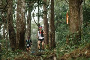 BIB: 
                            <button type="button" onclick="openModal(22507051)" class="btn btn-primary btn-sm float-right btn-popup" data-toggle="modal" data-target=".modal-high-quality">
                        <i class="fas fa-shopping-cart"></i> Add to Cart
                    </button>
                                            <button type="button" onclick="isThisMe(22507051, true)" class="btn btn-success btn-sm float-right btn-popup btn-isme hidden" data-toggle="tooltip" data-placement="bottom" title="นี่คือรูปของคุณใช่ไหม คลิกที่นี่เพื่อเอาเข้าอัลบั้ม">
                        <i class="fas fa-plus"></i> Add to album
                    </button>
                    <button type="button" onclick="isThisMe(22507051, false)" class="btn btn-warning btn-sm float-right btn-popup btn-isnotme hidden">
                        <i class="fas fa-ban"></i> Remove from album
                    </button>