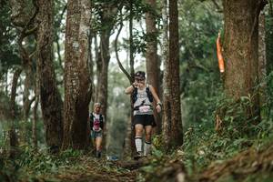 BIB: 
                            <button type="button" onclick="openModal(22506792)" class="btn btn-primary btn-sm float-right btn-popup" data-toggle="modal" data-target=".modal-high-quality">
                        <i class="fas fa-shopping-cart"></i> Add to Cart
                    </button>
                                            <button type="button" onclick="isThisMe(22506792, true)" class="btn btn-success btn-sm float-right btn-popup btn-isme hidden" data-toggle="tooltip" data-placement="bottom" title="นี่คือรูปของคุณใช่ไหม คลิกที่นี่เพื่อเอาเข้าอัลบั้ม">
                        <i class="fas fa-plus"></i> Add to album
                    </button>
                    <button type="button" onclick="isThisMe(22506792, false)" class="btn btn-warning btn-sm float-right btn-popup btn-isnotme hidden">
                        <i class="fas fa-ban"></i> Remove from album
                    </button>