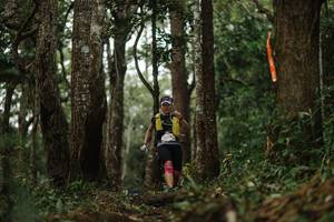 BIB: 
                            <button type="button" onclick="openModal(22511599)" class="btn btn-primary btn-sm float-right btn-popup" data-toggle="modal" data-target=".modal-high-quality">
                        <i class="fas fa-shopping-cart"></i> Add to Cart
                    </button>
                                            <button type="button" onclick="isThisMe(22511599, true)" class="btn btn-success btn-sm float-right btn-popup btn-isme hidden" data-toggle="tooltip" data-placement="bottom" title="นี่คือรูปของคุณใช่ไหม คลิกที่นี่เพื่อเอาเข้าอัลบั้ม">
                        <i class="fas fa-plus"></i> Add to album
                    </button>
                    <button type="button" onclick="isThisMe(22511599, false)" class="btn btn-warning btn-sm float-right btn-popup btn-isnotme hidden">
                        <i class="fas fa-ban"></i> Remove from album
                    </button>