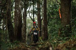 BIB: 
                            <button type="button" onclick="openModal(22511886)" class="btn btn-primary btn-sm float-right btn-popup" data-toggle="modal" data-target=".modal-high-quality">
                        <i class="fas fa-shopping-cart"></i> Add to Cart
                    </button>
                                            <button type="button" onclick="isThisMe(22511886, true)" class="btn btn-success btn-sm float-right btn-popup btn-isme hidden" data-toggle="tooltip" data-placement="bottom" title="นี่คือรูปของคุณใช่ไหม คลิกที่นี่เพื่อเอาเข้าอัลบั้ม">
                        <i class="fas fa-plus"></i> Add to album
                    </button>
                    <button type="button" onclick="isThisMe(22511886, false)" class="btn btn-warning btn-sm float-right btn-popup btn-isnotme hidden">
                        <i class="fas fa-ban"></i> Remove from album
                    </button>