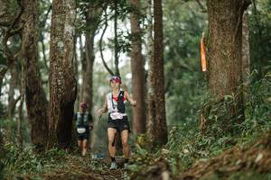 BIB: 
                            <button type="button" onclick="openModal(22507061)" class="btn btn-primary btn-sm float-right btn-popup" data-toggle="modal" data-target=".modal-high-quality">
                        <i class="fas fa-shopping-cart"></i> Add to Cart
                    </button>
                                            <button type="button" onclick="isThisMe(22507061, true)" class="btn btn-success btn-sm float-right btn-popup btn-isme hidden" data-toggle="tooltip" data-placement="bottom" title="นี่คือรูปของคุณใช่ไหม คลิกที่นี่เพื่อเอาเข้าอัลบั้ม">
                        <i class="fas fa-plus"></i> Add to album
                    </button>
                    <button type="button" onclick="isThisMe(22507061, false)" class="btn btn-warning btn-sm float-right btn-popup btn-isnotme hidden">
                        <i class="fas fa-ban"></i> Remove from album
                    </button>