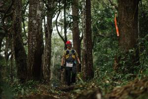 BIB: 
                            <button type="button" onclick="openModal(22511899)" class="btn btn-primary btn-sm float-right btn-popup" data-toggle="modal" data-target=".modal-high-quality">
                        <i class="fas fa-shopping-cart"></i> Add to Cart
                    </button>
                                            <button type="button" onclick="isThisMe(22511899, true)" class="btn btn-success btn-sm float-right btn-popup btn-isme hidden" data-toggle="tooltip" data-placement="bottom" title="นี่คือรูปของคุณใช่ไหม คลิกที่นี่เพื่อเอาเข้าอัลบั้ม">
                        <i class="fas fa-plus"></i> Add to album
                    </button>
                    <button type="button" onclick="isThisMe(22511899, false)" class="btn btn-warning btn-sm float-right btn-popup btn-isnotme hidden">
                        <i class="fas fa-ban"></i> Remove from album
                    </button>