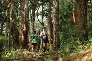 BIB: 
                            <button type="button" onclick="openModal(22511079)" class="btn btn-primary btn-sm float-right btn-popup" data-toggle="modal" data-target=".modal-high-quality">
                        <i class="fas fa-shopping-cart"></i> Add to Cart
                    </button>
                                            <button type="button" onclick="isThisMe(22511079, true)" class="btn btn-success btn-sm float-right btn-popup btn-isme hidden" data-toggle="tooltip" data-placement="bottom" title="นี่คือรูปของคุณใช่ไหม คลิกที่นี่เพื่อเอาเข้าอัลบั้ม">
                        <i class="fas fa-plus"></i> Add to album
                    </button>
                    <button type="button" onclick="isThisMe(22511079, false)" class="btn btn-warning btn-sm float-right btn-popup btn-isnotme hidden">
                        <i class="fas fa-ban"></i> Remove from album
                    </button>