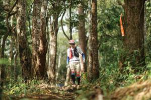 BIB: 
                            <button type="button" onclick="openModal(22510871)" class="btn btn-primary btn-sm float-right btn-popup" data-toggle="modal" data-target=".modal-high-quality">
                        <i class="fas fa-shopping-cart"></i> Add to Cart
                    </button>
                                            <button type="button" onclick="isThisMe(22510871, true)" class="btn btn-success btn-sm float-right btn-popup btn-isme hidden" data-toggle="tooltip" data-placement="bottom" title="นี่คือรูปของคุณใช่ไหม คลิกที่นี่เพื่อเอาเข้าอัลบั้ม">
                        <i class="fas fa-plus"></i> Add to album
                    </button>
                    <button type="button" onclick="isThisMe(22510871, false)" class="btn btn-warning btn-sm float-right btn-popup btn-isnotme hidden">
                        <i class="fas fa-ban"></i> Remove from album
                    </button>