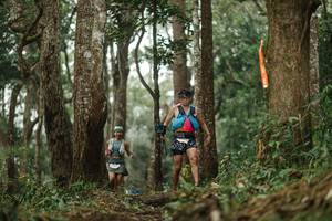 BIB: 
                            <button type="button" onclick="openModal(22506918)" class="btn btn-primary btn-sm float-right btn-popup" data-toggle="modal" data-target=".modal-high-quality">
                        <i class="fas fa-shopping-cart"></i> Add to Cart
                    </button>
                                            <button type="button" onclick="isThisMe(22506918, true)" class="btn btn-success btn-sm float-right btn-popup btn-isme hidden" data-toggle="tooltip" data-placement="bottom" title="นี่คือรูปของคุณใช่ไหม คลิกที่นี่เพื่อเอาเข้าอัลบั้ม">
                        <i class="fas fa-plus"></i> Add to album
                    </button>
                    <button type="button" onclick="isThisMe(22506918, false)" class="btn btn-warning btn-sm float-right btn-popup btn-isnotme hidden">
                        <i class="fas fa-ban"></i> Remove from album
                    </button>