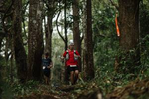 BIB: 
                            <button type="button" onclick="openModal(22512039)" class="btn btn-primary btn-sm float-right btn-popup" data-toggle="modal" data-target=".modal-high-quality">
                        <i class="fas fa-shopping-cart"></i> Add to Cart
                    </button>
                                            <button type="button" onclick="isThisMe(22512039, true)" class="btn btn-success btn-sm float-right btn-popup btn-isme hidden" data-toggle="tooltip" data-placement="bottom" title="นี่คือรูปของคุณใช่ไหม คลิกที่นี่เพื่อเอาเข้าอัลบั้ม">
                        <i class="fas fa-plus"></i> Add to album
                    </button>
                    <button type="button" onclick="isThisMe(22512039, false)" class="btn btn-warning btn-sm float-right btn-popup btn-isnotme hidden">
                        <i class="fas fa-ban"></i> Remove from album
                    </button>