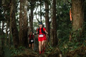 BIB: 
                            <button type="button" onclick="openModal(22509794)" class="btn btn-primary btn-sm float-right btn-popup" data-toggle="modal" data-target=".modal-high-quality">
                        <i class="fas fa-shopping-cart"></i> Add to Cart
                    </button>
                                            <button type="button" onclick="isThisMe(22509794, true)" class="btn btn-success btn-sm float-right btn-popup btn-isme hidden" data-toggle="tooltip" data-placement="bottom" title="นี่คือรูปของคุณใช่ไหม คลิกที่นี่เพื่อเอาเข้าอัลบั้ม">
                        <i class="fas fa-plus"></i> Add to album
                    </button>
                    <button type="button" onclick="isThisMe(22509794, false)" class="btn btn-warning btn-sm float-right btn-popup btn-isnotme hidden">
                        <i class="fas fa-ban"></i> Remove from album
                    </button>