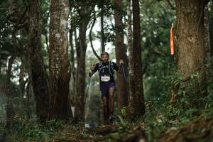 BIB: 3524
                            <button type="button" onclick="openModal(22514633)" class="btn btn-primary btn-sm float-right btn-popup" data-toggle="modal" data-target=".modal-high-quality">
                        <i class="fas fa-shopping-cart"></i> Add to Cart
                    </button>
                                            <button type="button" onclick="isThisMe(22514633, true)" class="btn btn-success btn-sm float-right btn-popup btn-isme hidden" data-toggle="tooltip" data-placement="bottom" title="นี่คือรูปของคุณใช่ไหม คลิกที่นี่เพื่อเอาเข้าอัลบั้ม">
                        <i class="fas fa-plus"></i> Add to album
                    </button>
                    <button type="button" onclick="isThisMe(22514633, false)" class="btn btn-warning btn-sm float-right btn-popup btn-isnotme hidden">
                        <i class="fas fa-ban"></i> Remove from album
                    </button>