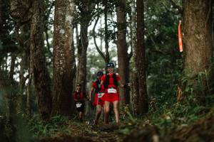 BIB: 
                            <button type="button" onclick="openModal(22509785)" class="btn btn-primary btn-sm float-right btn-popup" data-toggle="modal" data-target=".modal-high-quality">
                        <i class="fas fa-shopping-cart"></i> Add to Cart
                    </button>
                                            <button type="button" onclick="isThisMe(22509785, true)" class="btn btn-success btn-sm float-right btn-popup btn-isme hidden" data-toggle="tooltip" data-placement="bottom" title="นี่คือรูปของคุณใช่ไหม คลิกที่นี่เพื่อเอาเข้าอัลบั้ม">
                        <i class="fas fa-plus"></i> Add to album
                    </button>
                    <button type="button" onclick="isThisMe(22509785, false)" class="btn btn-warning btn-sm float-right btn-popup btn-isnotme hidden">
                        <i class="fas fa-ban"></i> Remove from album
                    </button>