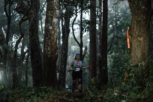 BIB: 
                            <button type="button" onclick="openModal(22519630)" class="btn btn-primary btn-sm float-right btn-popup" data-toggle="modal" data-target=".modal-high-quality">
                        <i class="fas fa-shopping-cart"></i> Add to Cart
                    </button>
                                            <button type="button" onclick="isThisMe(22519630, true)" class="btn btn-success btn-sm float-right btn-popup btn-isme hidden" data-toggle="tooltip" data-placement="bottom" title="นี่คือรูปของคุณใช่ไหม คลิกที่นี่เพื่อเอาเข้าอัลบั้ม">
                        <i class="fas fa-plus"></i> Add to album
                    </button>
                    <button type="button" onclick="isThisMe(22519630, false)" class="btn btn-warning btn-sm float-right btn-popup btn-isnotme hidden">
                        <i class="fas fa-ban"></i> Remove from album
                    </button>