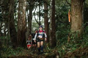 BIB: 5706
                            <button type="button" onclick="openModal(22516659)" class="btn btn-primary btn-sm float-right btn-popup" data-toggle="modal" data-target=".modal-high-quality">
                        <i class="fas fa-shopping-cart"></i> Add to Cart
                    </button>
                                            <button type="button" onclick="isThisMe(22516659, true)" class="btn btn-success btn-sm float-right btn-popup btn-isme hidden" data-toggle="tooltip" data-placement="bottom" title="นี่คือรูปของคุณใช่ไหม คลิกที่นี่เพื่อเอาเข้าอัลบั้ม">
                        <i class="fas fa-plus"></i> Add to album
                    </button>
                    <button type="button" onclick="isThisMe(22516659, false)" class="btn btn-warning btn-sm float-right btn-popup btn-isnotme hidden">
                        <i class="fas fa-ban"></i> Remove from album
                    </button>