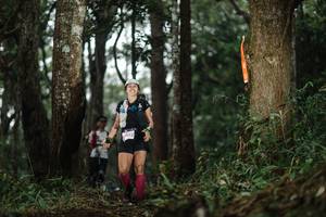 BIB: 355
                            <button type="button" onclick="openModal(22516956)" class="btn btn-primary btn-sm float-right btn-popup" data-toggle="modal" data-target=".modal-high-quality">
                        <i class="fas fa-shopping-cart"></i> Add to Cart
                    </button>
                                            <button type="button" onclick="isThisMe(22516956, true)" class="btn btn-success btn-sm float-right btn-popup btn-isme hidden" data-toggle="tooltip" data-placement="bottom" title="นี่คือรูปของคุณใช่ไหม คลิกที่นี่เพื่อเอาเข้าอัลบั้ม">
                        <i class="fas fa-plus"></i> Add to album
                    </button>
                    <button type="button" onclick="isThisMe(22516956, false)" class="btn btn-warning btn-sm float-right btn-popup btn-isnotme hidden">
                        <i class="fas fa-ban"></i> Remove from album
                    </button>