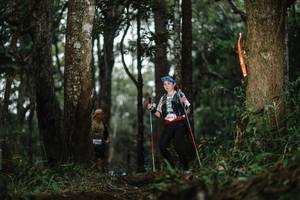 BIB: 
                            <button type="button" onclick="openModal(22517080)" class="btn btn-primary btn-sm float-right btn-popup" data-toggle="modal" data-target=".modal-high-quality">
                        <i class="fas fa-shopping-cart"></i> Add to Cart
                    </button>
                                            <button type="button" onclick="isThisMe(22517080, true)" class="btn btn-success btn-sm float-right btn-popup btn-isme hidden" data-toggle="tooltip" data-placement="bottom" title="นี่คือรูปของคุณใช่ไหม คลิกที่นี่เพื่อเอาเข้าอัลบั้ม">
                        <i class="fas fa-plus"></i> Add to album
                    </button>
                    <button type="button" onclick="isThisMe(22517080, false)" class="btn btn-warning btn-sm float-right btn-popup btn-isnotme hidden">
                        <i class="fas fa-ban"></i> Remove from album
                    </button>