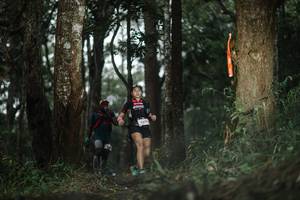 BIB: 
                            <button type="button" onclick="openModal(22517981)" class="btn btn-primary btn-sm float-right btn-popup" data-toggle="modal" data-target=".modal-high-quality">
                        <i class="fas fa-shopping-cart"></i> Add to Cart
                    </button>
                                            <button type="button" onclick="isThisMe(22517981, true)" class="btn btn-success btn-sm float-right btn-popup btn-isme hidden" data-toggle="tooltip" data-placement="bottom" title="นี่คือรูปของคุณใช่ไหม คลิกที่นี่เพื่อเอาเข้าอัลบั้ม">
                        <i class="fas fa-plus"></i> Add to album
                    </button>
                    <button type="button" onclick="isThisMe(22517981, false)" class="btn btn-warning btn-sm float-right btn-popup btn-isnotme hidden">
                        <i class="fas fa-ban"></i> Remove from album
                    </button>