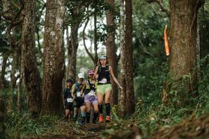 BIB: 
                            <button type="button" onclick="openModal(22516008)" class="btn btn-primary btn-sm float-right btn-popup" data-toggle="modal" data-target=".modal-high-quality">
                        <i class="fas fa-shopping-cart"></i> Add to Cart
                    </button>
                                            <button type="button" onclick="isThisMe(22516008, true)" class="btn btn-success btn-sm float-right btn-popup btn-isme hidden" data-toggle="tooltip" data-placement="bottom" title="นี่คือรูปของคุณใช่ไหม คลิกที่นี่เพื่อเอาเข้าอัลบั้ม">
                        <i class="fas fa-plus"></i> Add to album
                    </button>
                    <button type="button" onclick="isThisMe(22516008, false)" class="btn btn-warning btn-sm float-right btn-popup btn-isnotme hidden">
                        <i class="fas fa-ban"></i> Remove from album
                    </button>