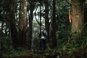 BIB: 
                            <button type="button" onclick="openModal(22517137)" class="btn btn-primary btn-sm float-right btn-popup" data-toggle="modal" data-target=".modal-high-quality">
                        <i class="fas fa-shopping-cart"></i> Add to Cart
                    </button>
                                            <button type="button" onclick="isThisMe(22517137, true)" class="btn btn-success btn-sm float-right btn-popup btn-isme hidden" data-toggle="tooltip" data-placement="bottom" title="นี่คือรูปของคุณใช่ไหม คลิกที่นี่เพื่อเอาเข้าอัลบั้ม">
                        <i class="fas fa-plus"></i> Add to album
                    </button>
                    <button type="button" onclick="isThisMe(22517137, false)" class="btn btn-warning btn-sm float-right btn-popup btn-isnotme hidden">
                        <i class="fas fa-ban"></i> Remove from album
                    </button>